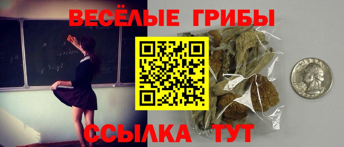 Галлюциногенные грибы Cubensis  Псилоцибиновые грибы MAGIC MUSHROOMS  Вход с VPN  Учалы 